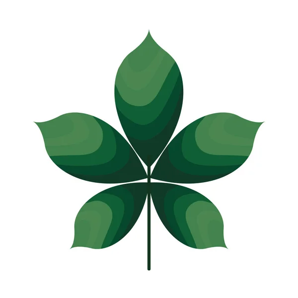 Plan met vijf bladeren van groene kleur — Stockvector