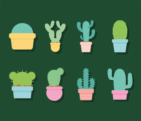 Ensemble de huit icônes de cactus sur fond vert — Image vectorielle