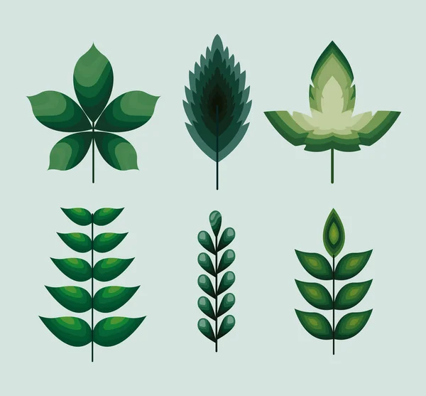 Set of leaves icons with green color — Stock Vector