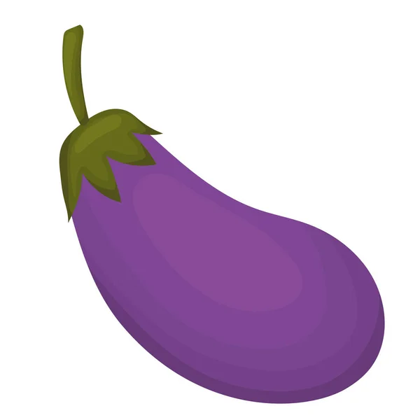 Aubergine met een paarse kleur — Stockvector