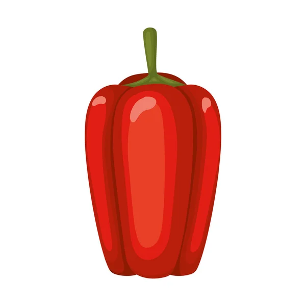 Paprika med rød farge – stockvektor