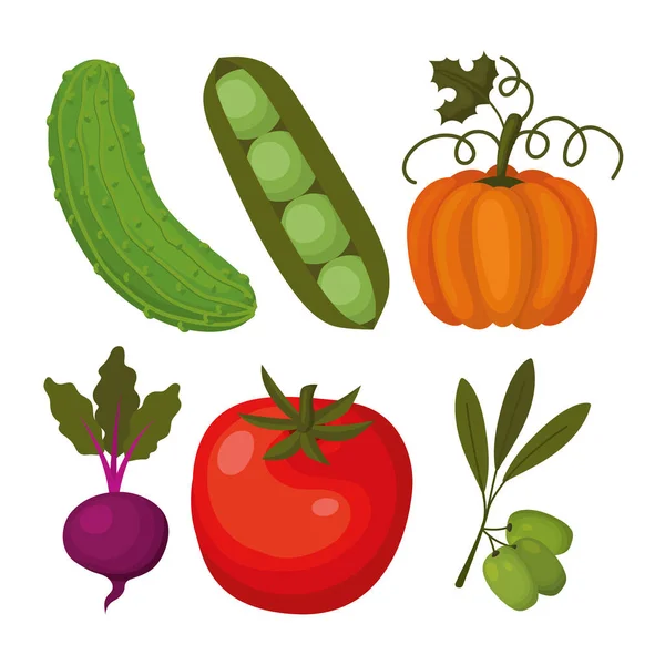 Bundel van groenten pictogrammen over een witte achtergrond — Stockvector