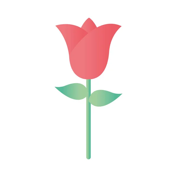 Τριαντάφυλλο με πράσινο στέλεχος σε λευκό φόντο — Διανυσματικό Αρχείο