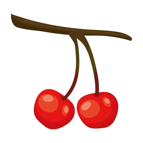 Cereza con un color rojo — Vector de stock