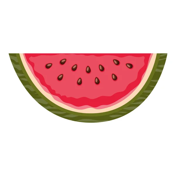 Watermeloen met een rode en groene kleur — Stockvector