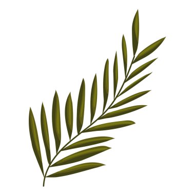 Beyaz arkaplan üzerinde yaprakları olan dal