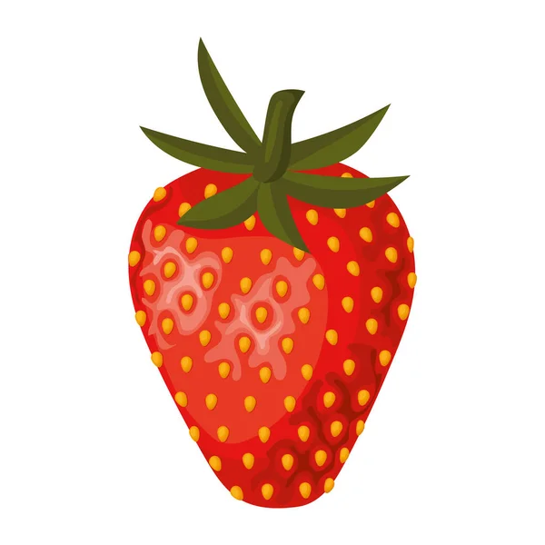 Strawberry with a red and green color — Stock Vector