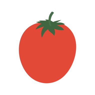 Beyaz arkaplanda domates