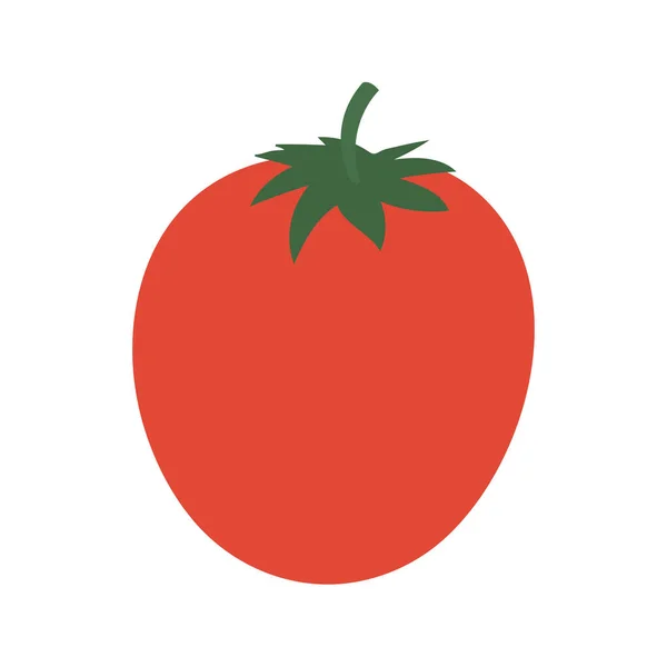 Tomate sur fond blanc — Image vectorielle