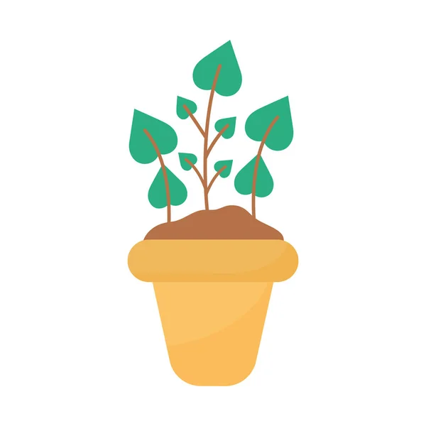Pflanze mit Blättern im Topf — Stockvektor