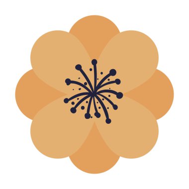 Beyaz arkaplanda sarı çiçek