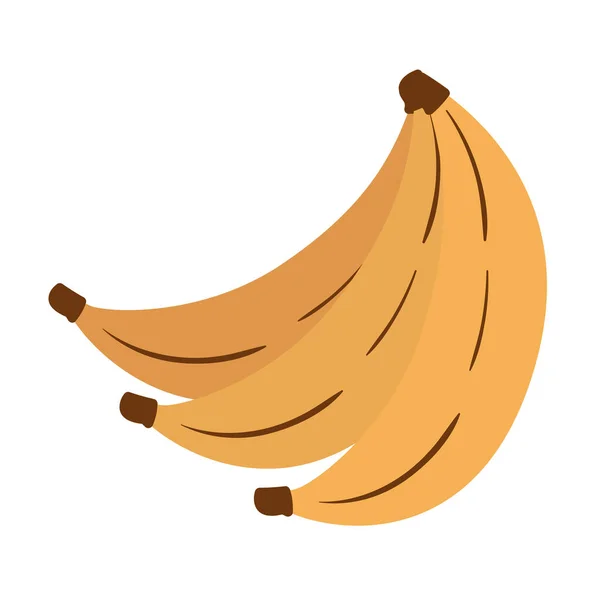 Jogo de bananas em um fundo branco — Vetor de Stock