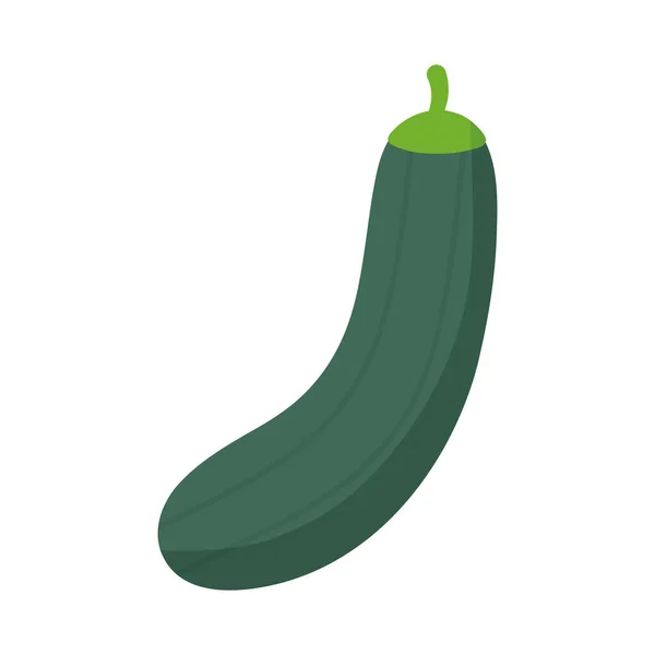Concombre avec une couleur verte — Image vectorielle