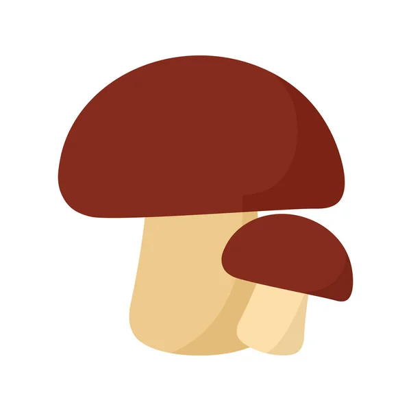 Mushrooms with a brow color — Stock Vector