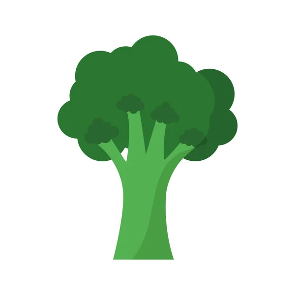 Brokoli dengan warna hijau - Stok Vektor