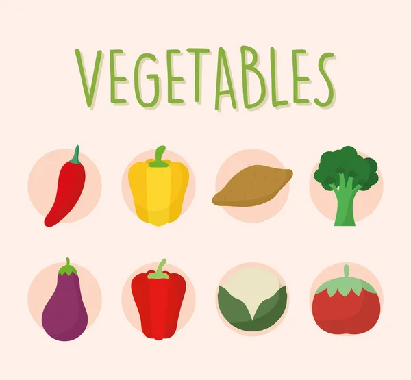 Set van iconen van verse en heerlijke groenten — Stockvector