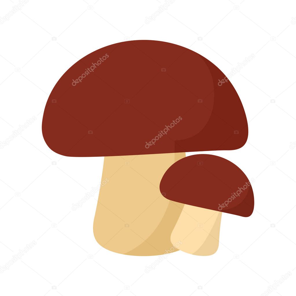 mushrooms with a brow color
