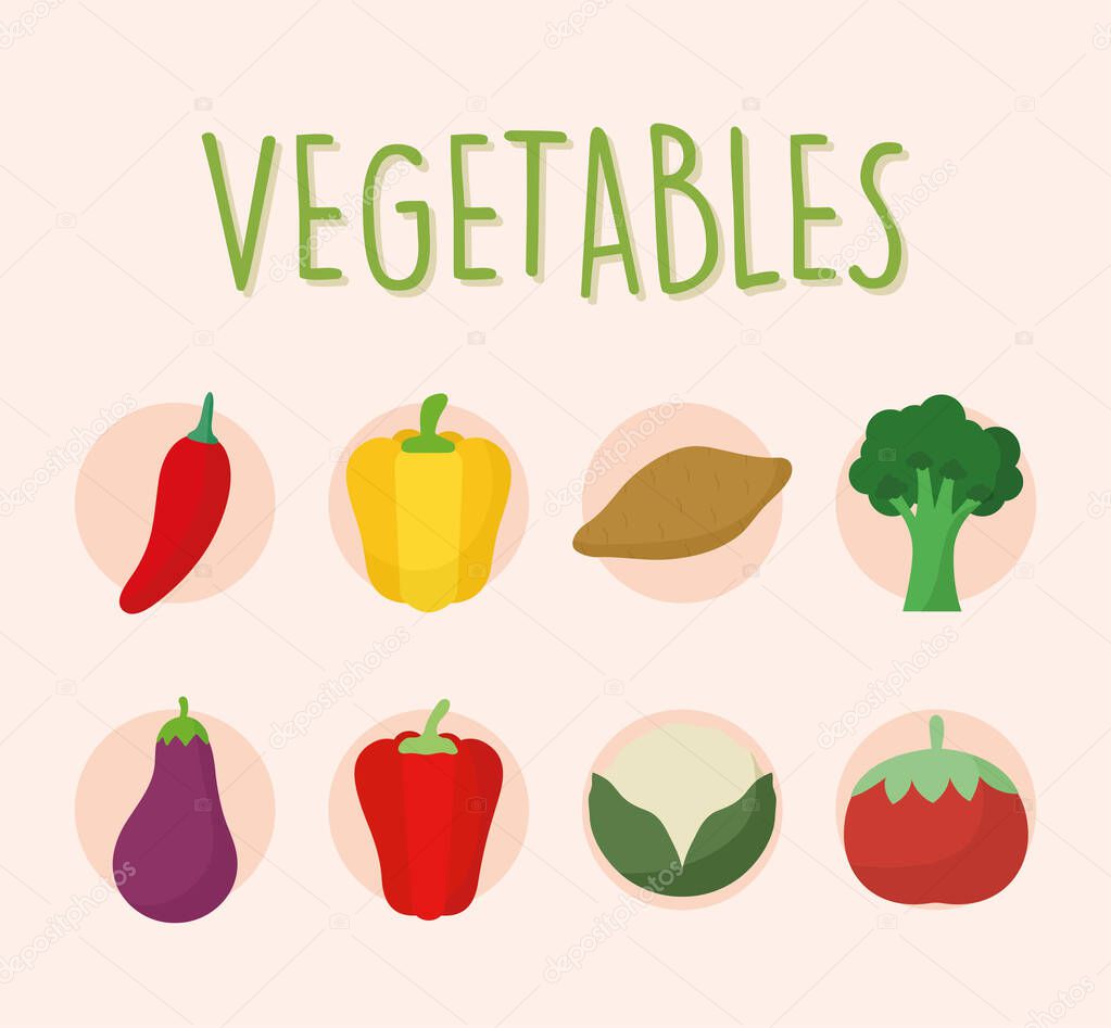 set of fresh and delicius vegetables icons