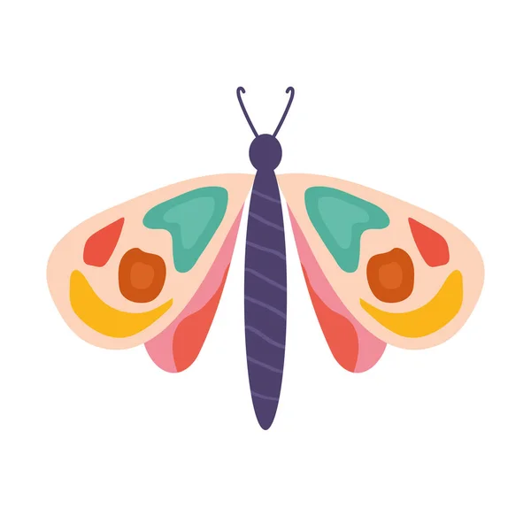 Ručně kreslený motýl v bílém pozadí — Stockový vektor