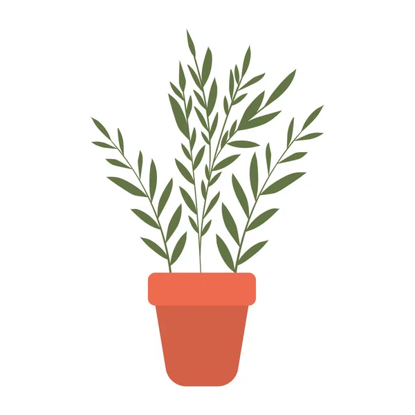Planta dentro de una maceta con fondo blanco — Vector de stock