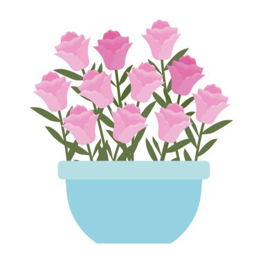 Mavi renkli bir tencerede güller