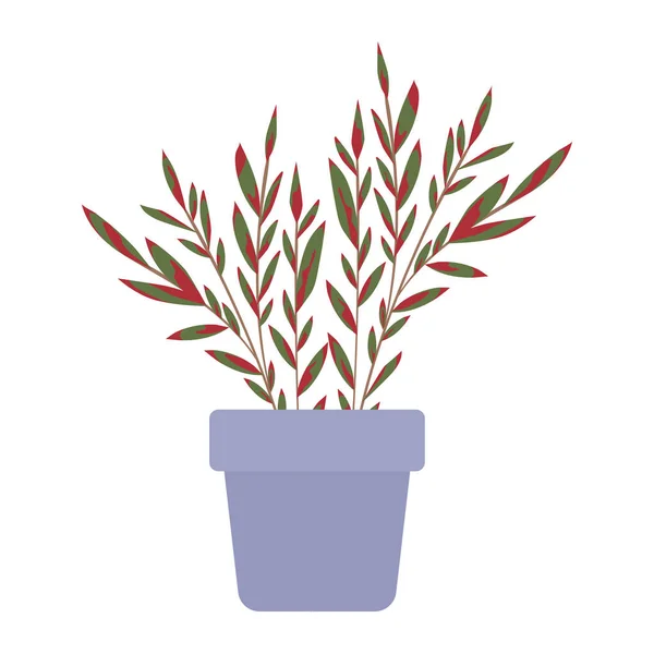 Pflanze in einem Topf mit grünen und roten Blättern — Stockvektor