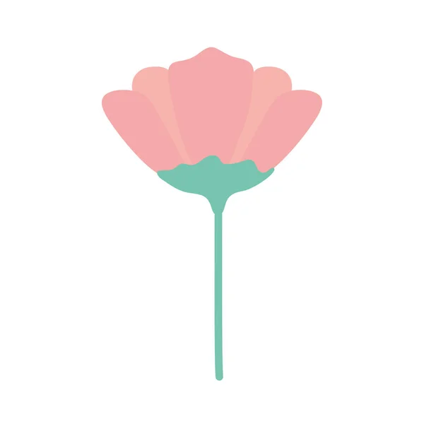 Virág rózsaszín színű — Stock Vector