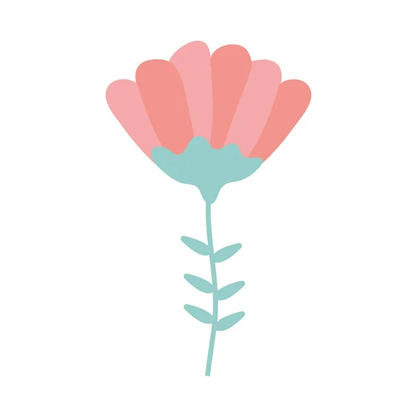 Tulipán rózsaszín színnel — Stock Vector