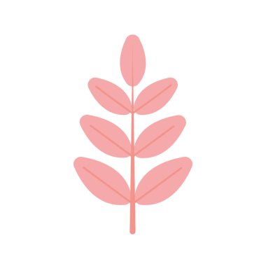 Bir sürü pembe yapraklı bitki