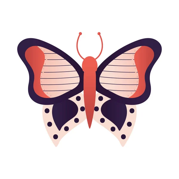 Mariposa sobre un fondo blanco — Archivo Imágenes Vectoriales