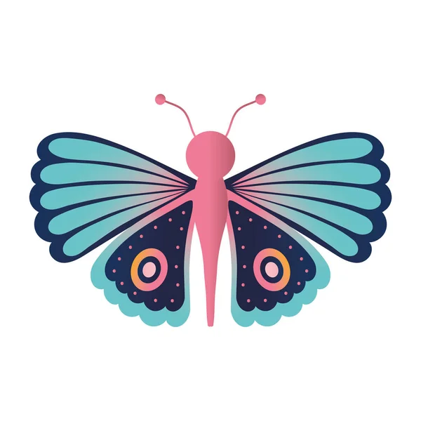 Papillon sur fond blanc — Image vectorielle