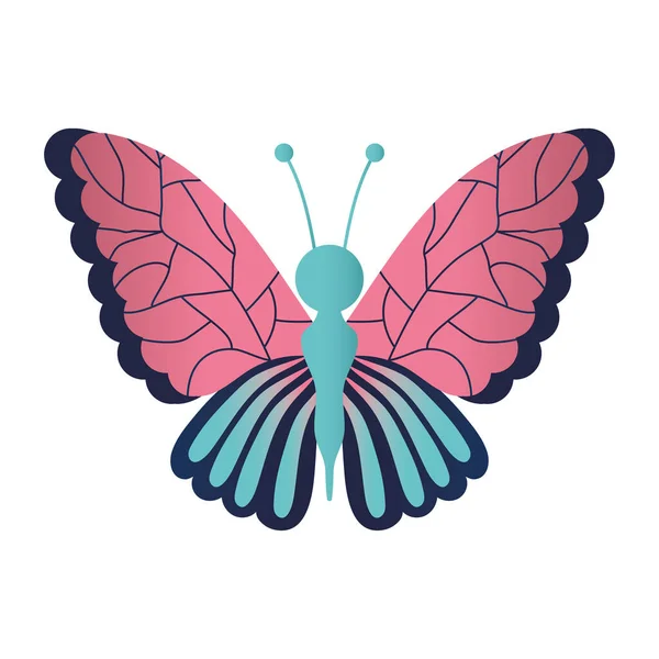 Motýl s různými barvami, jako je růžová a modrá — Stockový vektor