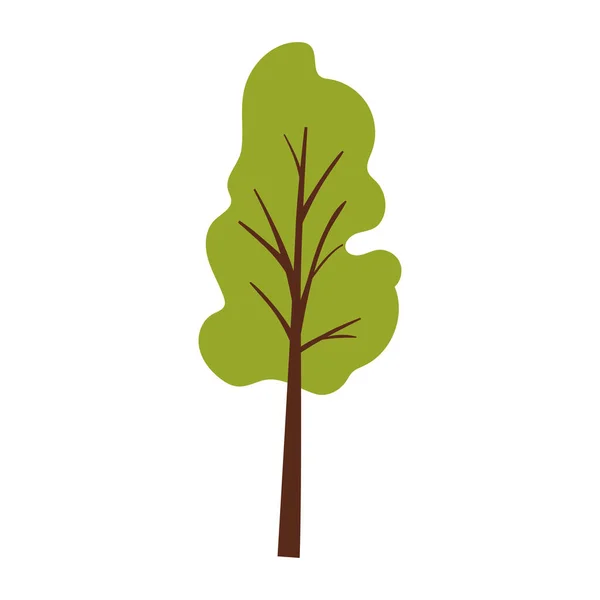 Árbol verde sobre un fondo blanco — Vector de stock