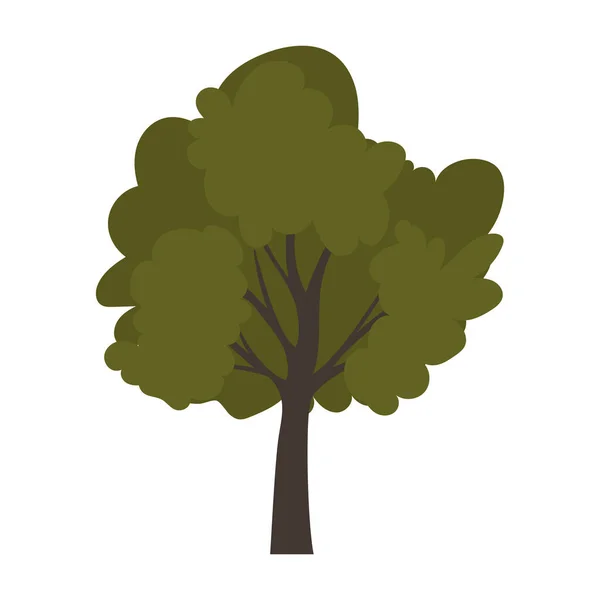 Árbol sobre un fondo blanco — Vector de stock