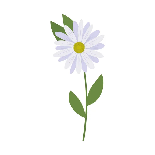 Blume mit weißer Farbe und Blättern — Stockvektor