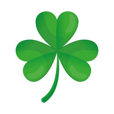 Beyaz arkaplanda yonca