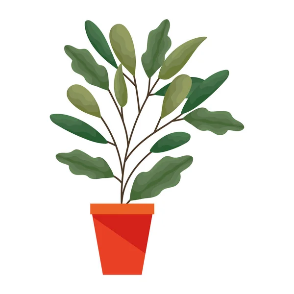 Planta con muchas hojas en una maceta — Vector de stock