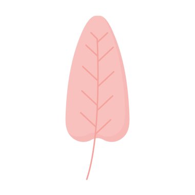 Beyaz arkaplanda pembe yaprak