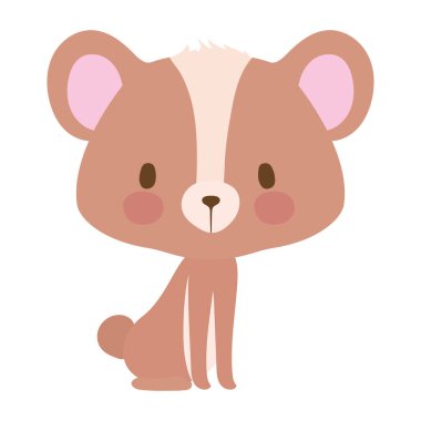 beyaz arka planda bir ayıcık