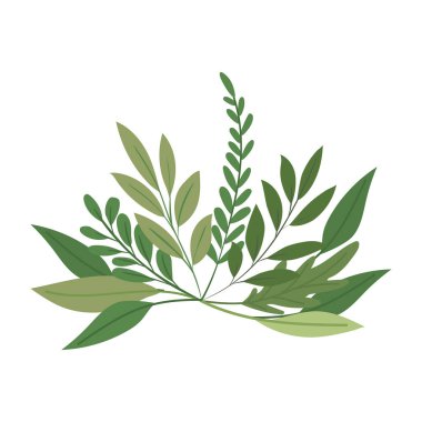 bir sürü yeşil yapraklı bitki