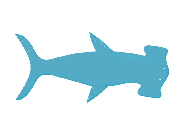 Tubarão-martelo sobre um fundo branco — Vetor de Stock
