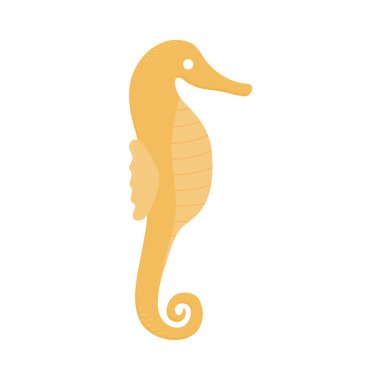 Beyaz bir arkaplanda deniz kabuğu