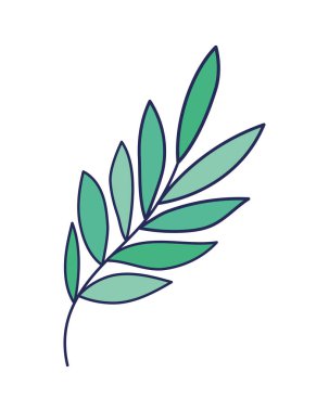 beyaz arkaplanda bitki