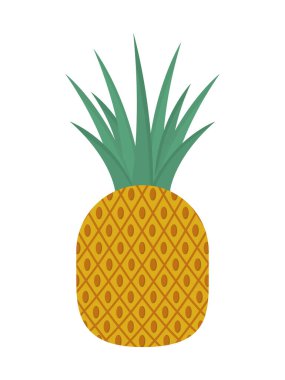 ananas taze meyve
