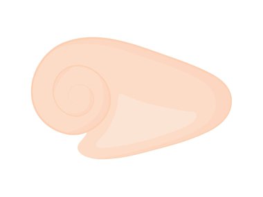 sarmal deniz kabuğu izole edildi