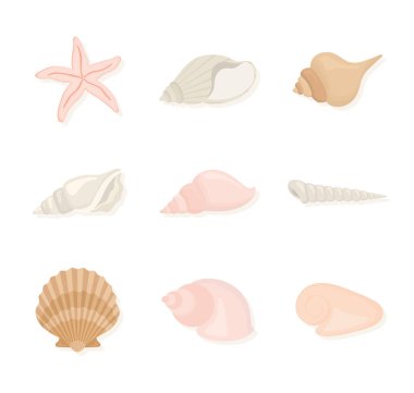 midye simgeleri ayarlandı