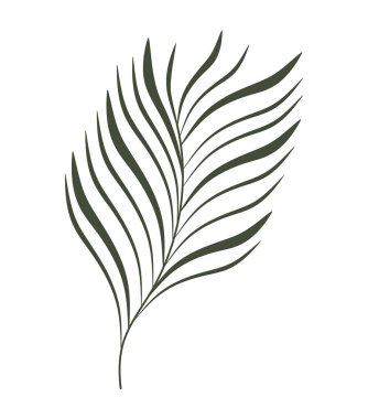 güzel bitki çizimi