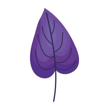 Şirin mor yaprak