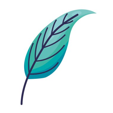 turkuaz yaprak izole edildi