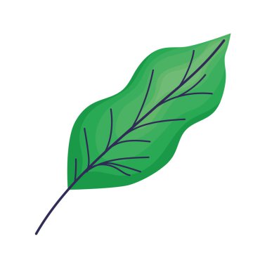 yeşil yaprak illüstrasyonu